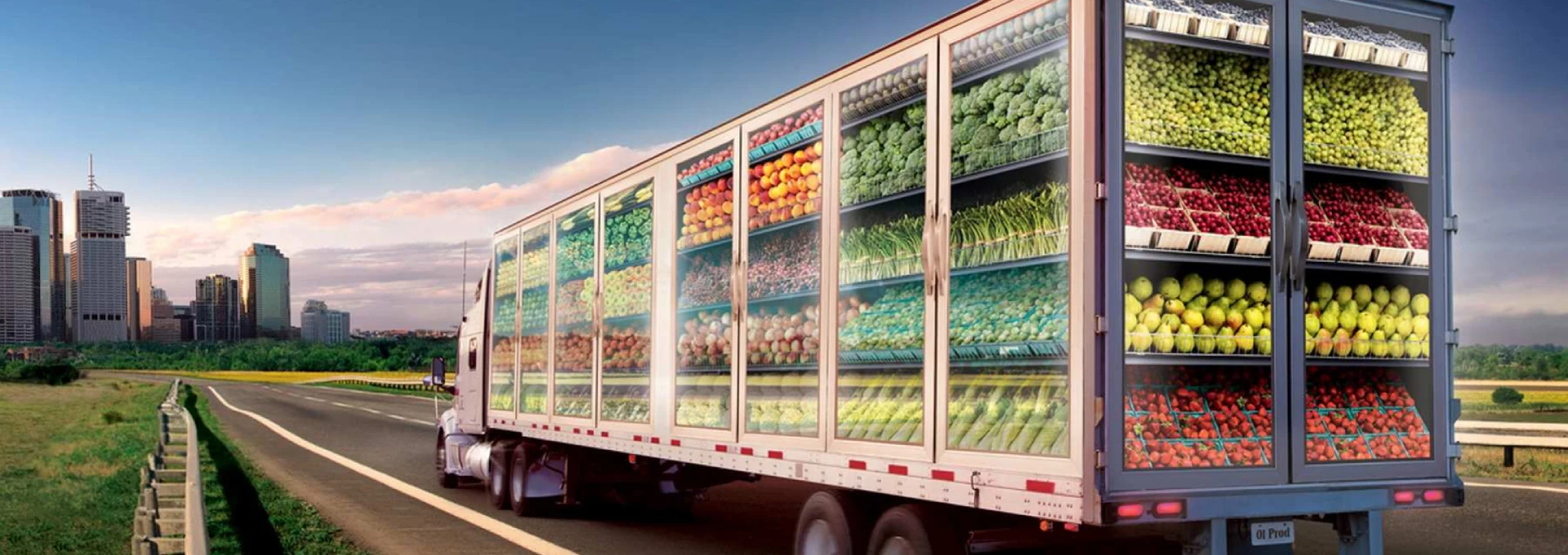 Cold Chain Shipping Solutions | Cold Storage Solutions - Intercont+